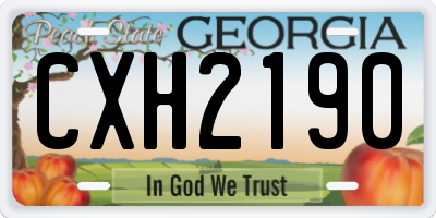 GA license plate CXH2190