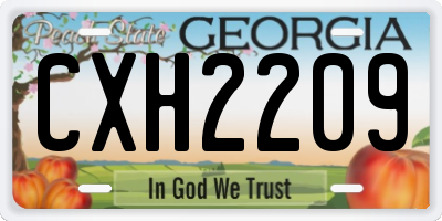 GA license plate CXH2209