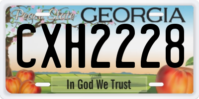 GA license plate CXH2228