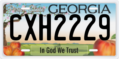 GA license plate CXH2229