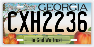 GA license plate CXH2236