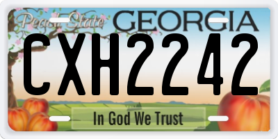 GA license plate CXH2242