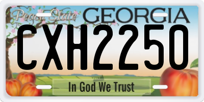 GA license plate CXH2250
