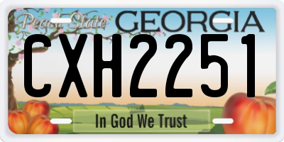 GA license plate CXH2251
