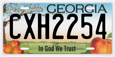 GA license plate CXH2254