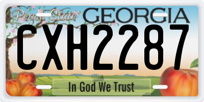 GA license plate CXH2287