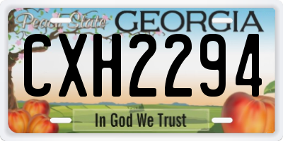 GA license plate CXH2294