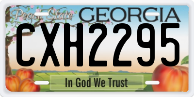 GA license plate CXH2295