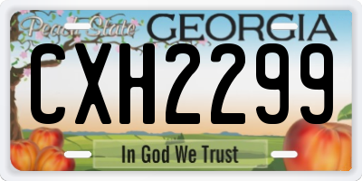 GA license plate CXH2299