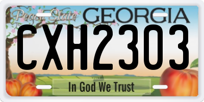 GA license plate CXH2303