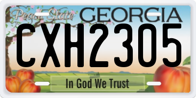 GA license plate CXH2305