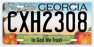 GA license plate CXH2308