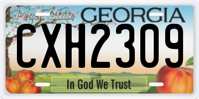 GA license plate CXH2309