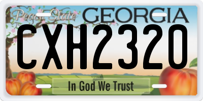 GA license plate CXH2320