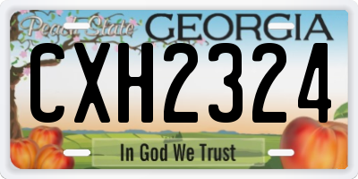 GA license plate CXH2324