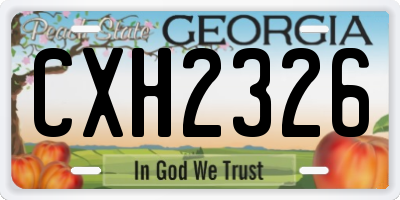 GA license plate CXH2326