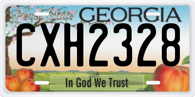 GA license plate CXH2328