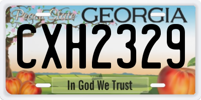 GA license plate CXH2329