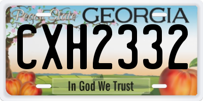 GA license plate CXH2332