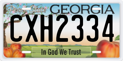 GA license plate CXH2334