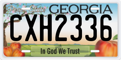 GA license plate CXH2336