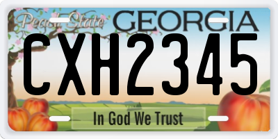 GA license plate CXH2345