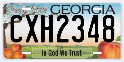 GA license plate CXH2348