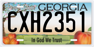 GA license plate CXH2351
