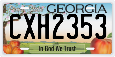GA license plate CXH2353