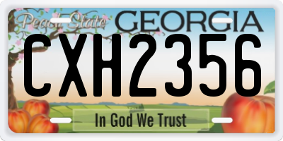 GA license plate CXH2356