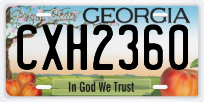 GA license plate CXH2360