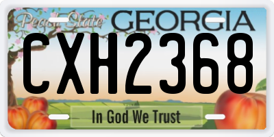 GA license plate CXH2368