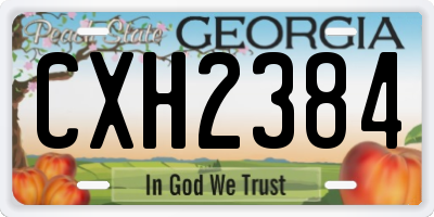 GA license plate CXH2384