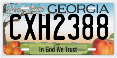 GA license plate CXH2388