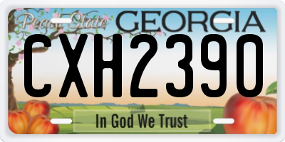 GA license plate CXH2390