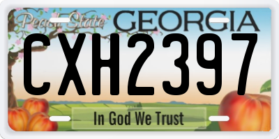 GA license plate CXH2397