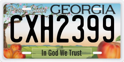 GA license plate CXH2399