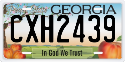 GA license plate CXH2439