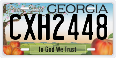 GA license plate CXH2448