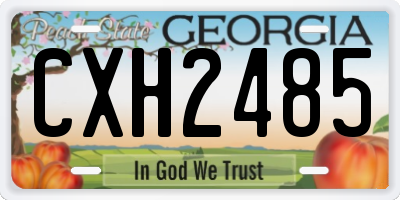 GA license plate CXH2485