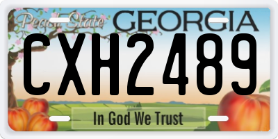 GA license plate CXH2489