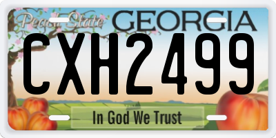 GA license plate CXH2499