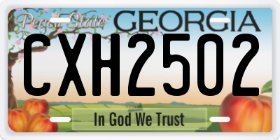 GA license plate CXH2502