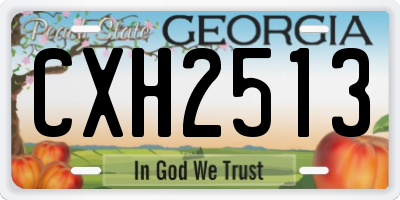 GA license plate CXH2513