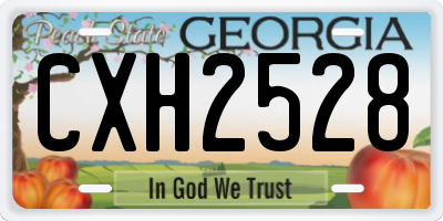 GA license plate CXH2528