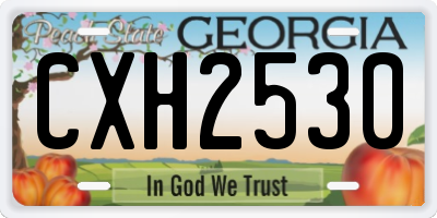 GA license plate CXH2530