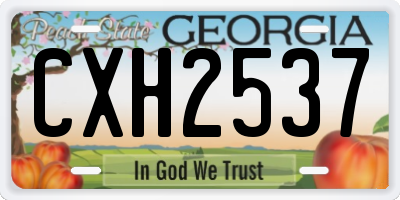 GA license plate CXH2537