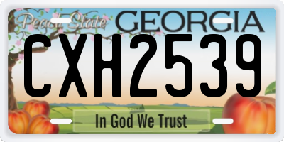 GA license plate CXH2539