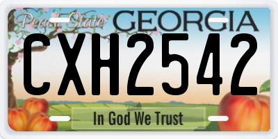 GA license plate CXH2542