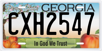 GA license plate CXH2547